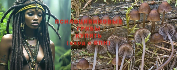 PSILOCYBIN Балахна