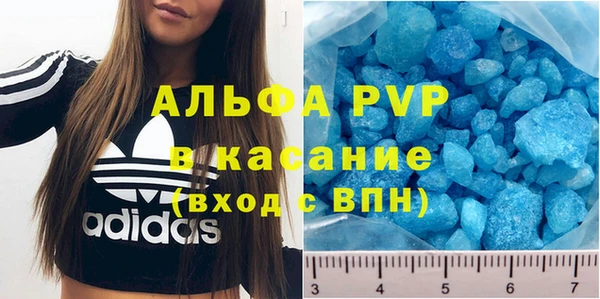 PSILOCYBIN Балахна