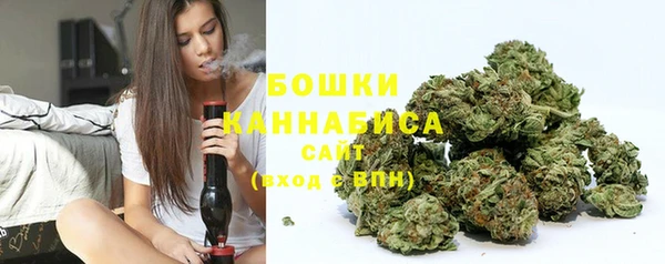 PSILOCYBIN Балахна