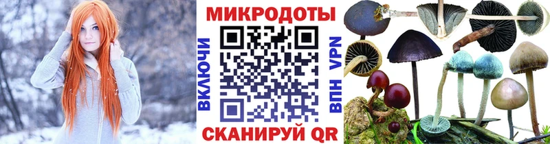 купить сайты Котельниково блэк спрут онион Псилоцибиновые грибы Cubensis